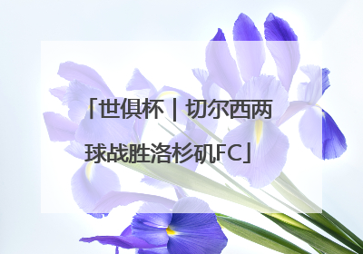 世俱杯｜切尔西两球战胜洛杉矶FC