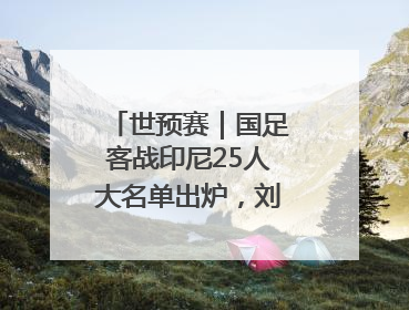 世预赛｜国足客战印尼25人大名单出炉，刘若钒落选
