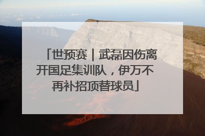 世预赛｜武磊因伤离开国足集训队，伊万不再补招顶替球员