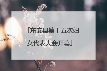 东安县第十五次妇女代表大会开幕