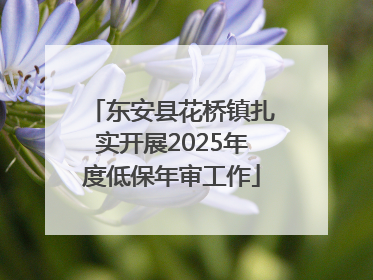 东安县花桥镇扎实开展2025年度低保年审工作