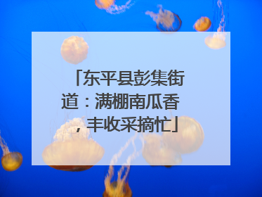 东平县彭集街道：满棚南瓜香，丰收采摘忙