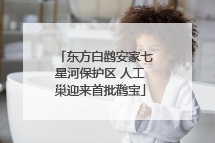 东方白鹳安家七星河保护区 人工巢迎来首批鹳宝