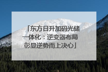 东方日升加码光储一体化：逆变器布局彰显逆势而上决心