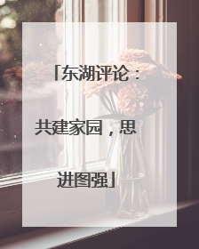 东湖评论：共建家园，思进图强
