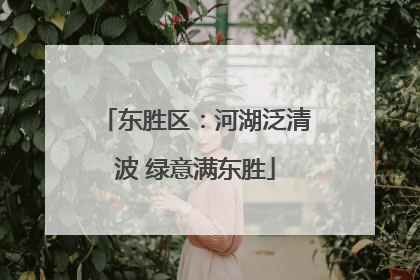 东胜区：河湖泛清波 绿意满东胜