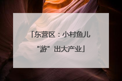 东营区：小村鱼儿“游”出大产业