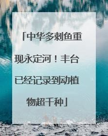 中华多刺鱼重现永定河！丰台已经记录到动植物超千种