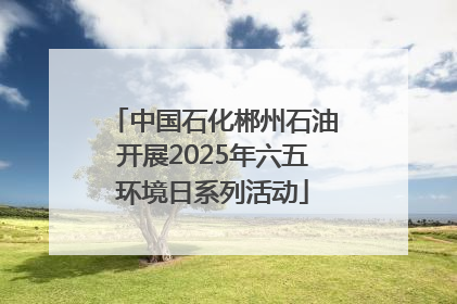 中国石化郴州石油开展2025年六五环境日系列活动