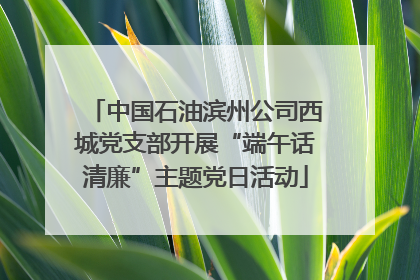 中国石油滨州公司西城党支部开展“端午话清廉”主题党日活动