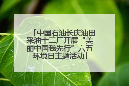 中国石油长庆油田采油十二厂开展“美丽中国我先行”六五环境日主题活动
