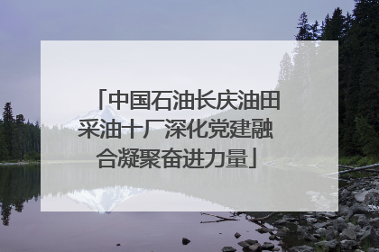 中国石油长庆油田采油十厂深化党建融合凝聚奋进力量
