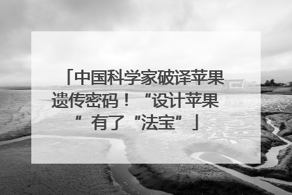 中国科学家破译苹果遗传密码！“设计苹果”有了“法宝”