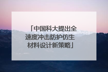 中国科大提出全速度冲击防护仿生材料设计新策略