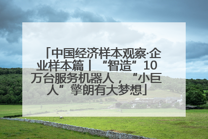 中国经济样本观察·企业样本篇丨“智造”10万台服务机器人，“小巨人”擎朗有大梦想