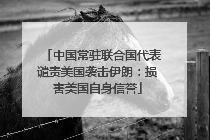 中国常驻联合国代表谴责美国袭击伊朗：损害美国自身信誉