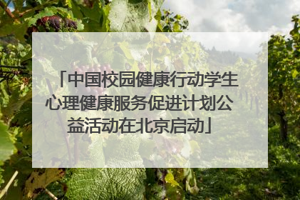 中国校园健康行动学生心理健康服务促进计划公益活动在北京启动