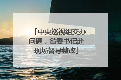 中央巡视组交办问题，省委书记赴现场督导整改