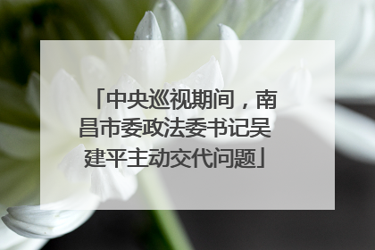 中央巡视期间，南昌市委政法委书记吴建平主动交代问题
