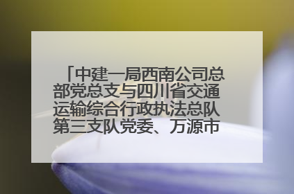 中建一局西南公司总部党总支与四川省交通运输综合行政执法总队第三支队党委、万源市草坝镇莲花院村党支部开展党建联建