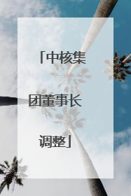 中核集团董事长调整