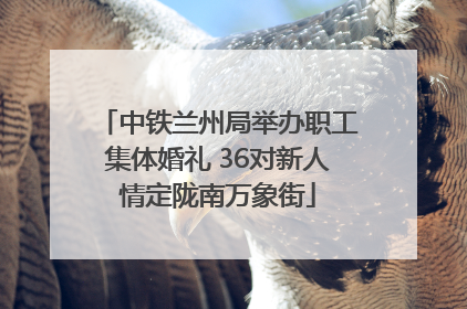 中铁兰州局举办职工集体婚礼 36对新人情定陇南万象街
