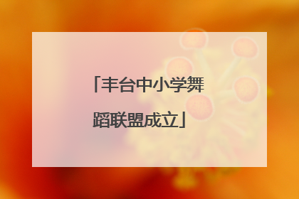 丰台中小学舞蹈联盟成立