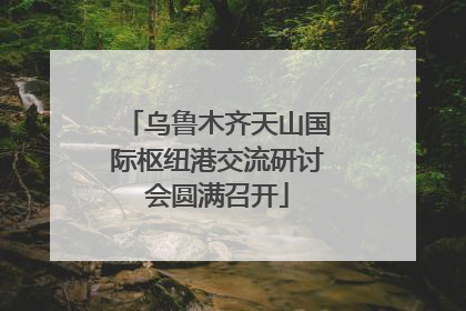 乌鲁木齐天山国际枢纽港交流研讨会圆满召开