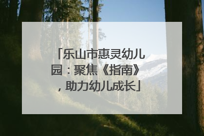 乐山市惠灵幼儿园：聚焦《指南》，助力幼儿成长