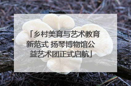 乡村美育与艺术教育新范式 扬琴博物馆公益艺术团正式启航