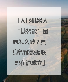 人形机器人“缺智能”困局怎么破？具身智能数据联盟在沪成立
