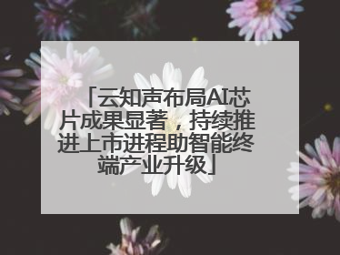 云知声布局AI芯片成果显著，持续推进上市进程助智能终端产业升级