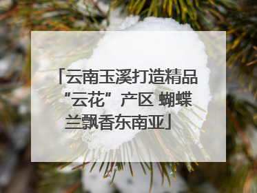 云南玉溪打造精品“云花”产区 蝴蝶兰飘香东南亚