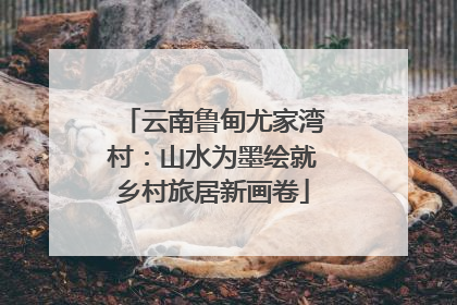 云南鲁甸尤家湾村：山水为墨绘就乡村旅居新画卷