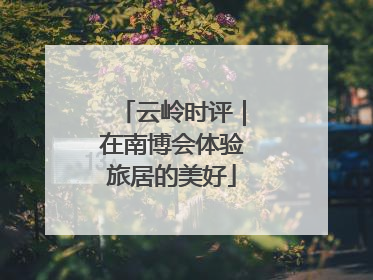 云岭时评｜在南博会体验旅居的美好