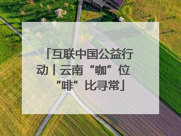 互联中国公益行动丨云南“咖”位“啡”比寻常