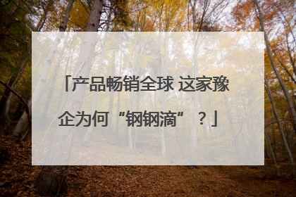 产品畅销全球 这家豫企为何“钢钢滴”？
