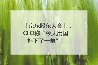 京东股东大会上，CEO称“今天用国补下了一单”