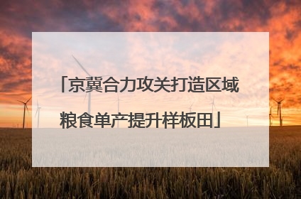 京冀合力攻关打造区域粮食单产提升样板田