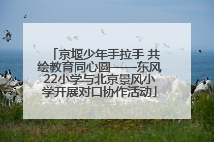 京堰少年手拉手 共绘教育同心圆——东风22小学与北京景风小学开展对口协作活动