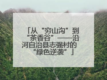 从“穷山沟”到“茶香谷”——沿河自治县志强村的“绿色逆袭”