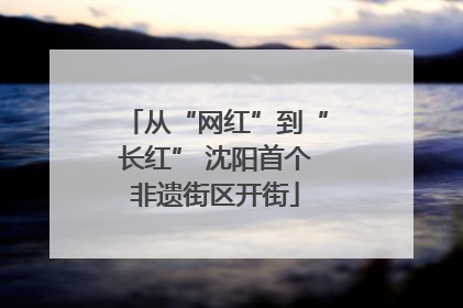 从“网红”到“长红” 沈阳首个非遗街区开街