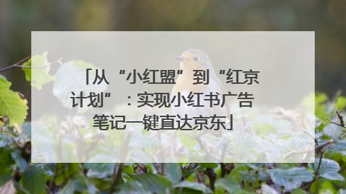从“小红盟”到“红京计划”：实现小红书广告笔记一键直达京东