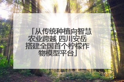 从传统种植向智慧农业跨越 四川安岳搭建全国首个柠檬作物模型平台