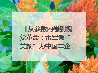 从参数内卷到视觉革命：雷军凭“美颜”为中国车企撕开设计新赛道｜封面车评