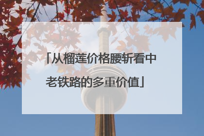 从榴莲价格腰斩看中老铁路的多重价值