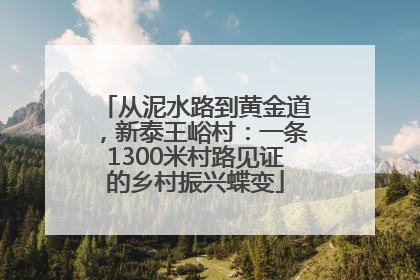 从泥水路到黄金道，新泰王峪村：一条1300米村路见证的乡村振兴蝶变
