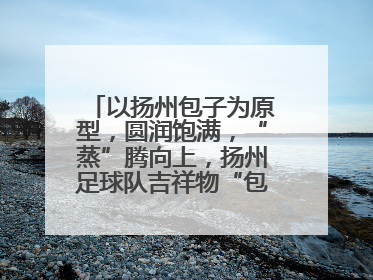 以扬州包子为原型，圆润饱满，“蒸”腾向上，扬州足球队吉祥物“包赢”亮相即售罄