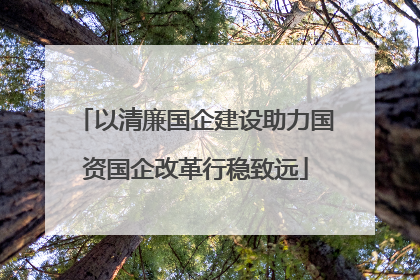 以清廉国企建设助力国资国企改革行稳致远