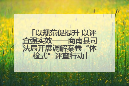 以规范促提升 以评查强实效——商南县司法局开展调解案卷“体检式”评查行动